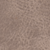 Tuareg Hare